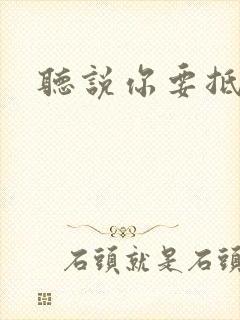 听说你要抵抗我