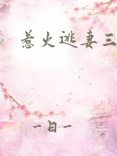惹火逃妻三带一