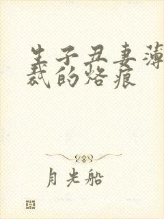 生子丑妻薄情总裁的烙痕