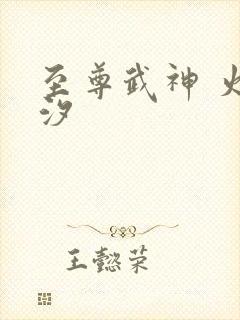 至尊武神 火龙汐