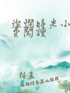 灿烂时光小说免费阅读