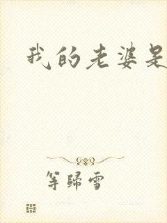 我的老婆是大神