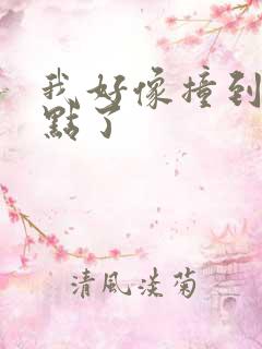 我好像撞到你的点了