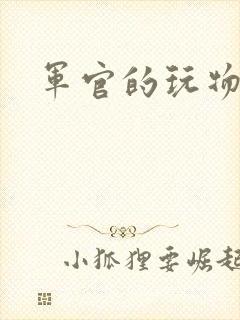 军官的玩物