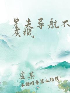 农夫导航不要打灰机