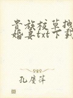 贵族校草拽拽未婚妻txt下载