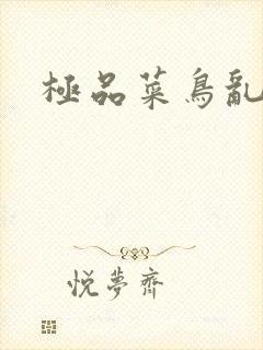 极品菜鸟乱江湖