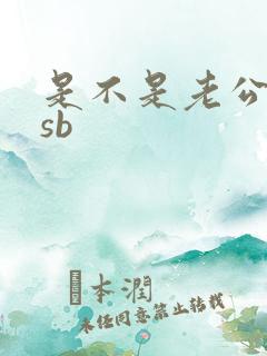 是不是老公的小sb