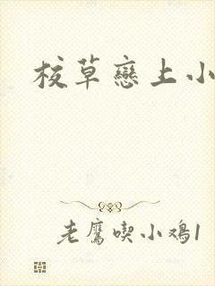 校草恋上小丫头