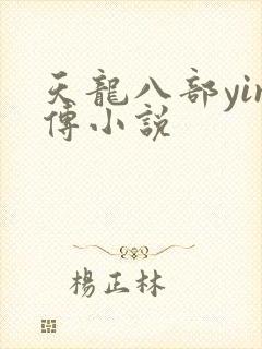天龙八部yin传小说
