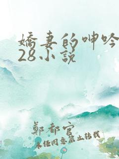 娇妻的呻吟1—28小说