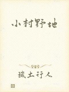 小村野地