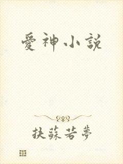 爱神小说