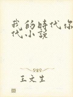 我的时代你的时代小说