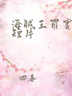 海贼王罗宾被h短片