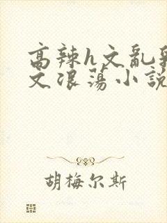 高辣h文乱乳h文浪荡小说苏柔