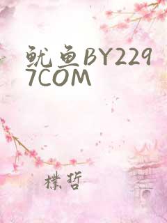 鱿鱼BY2297COM