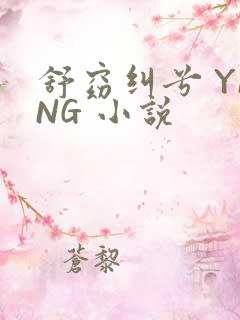 舒窈纠兮 YING 小说