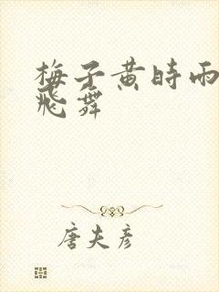 梅子黄时雨流光飞舞