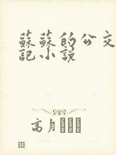 苏苏的公交车日记小说