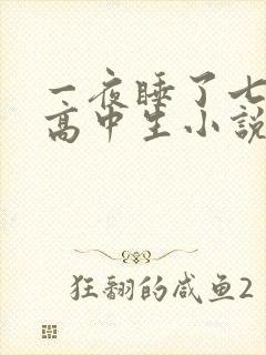 一夜睡了七个女高中生小说h
