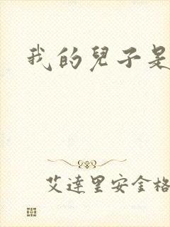 我的儿子是雍正