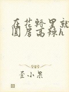 在花轿里就开始圆房高辣h