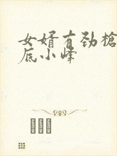 女婿有劲枪枪到底小峰