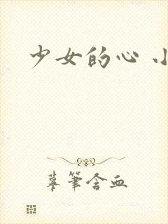 少女的心 小说