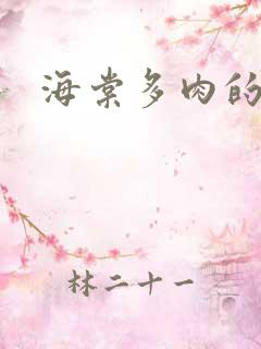 海棠多肉的文笔