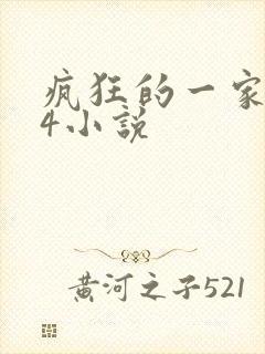 疯狂的一家ps4小说