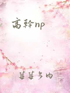 高干np