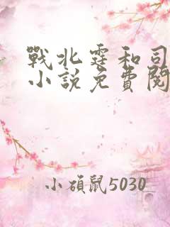 战北霆和司情的小说免费阅读