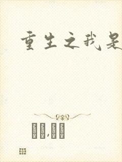 重生之我是段誉