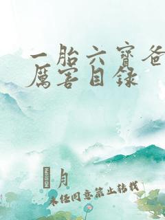 一胎六宝爸比好厉害目录