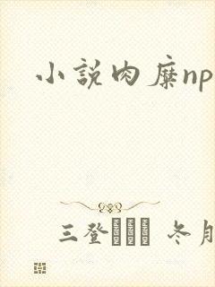小说肉糜np
