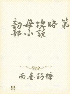 韵母攻略第12部小说