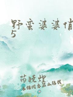 野蛮婆婆俏媳妇5