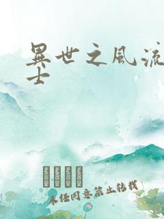 异世之风流魔战士