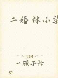 二婚 林小染