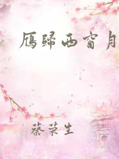 雁归西窗月小说