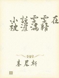 小说雯雯在工地被灌满精