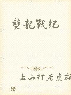 双龙战纪
