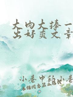 大肉大捧一进一出好爽文章