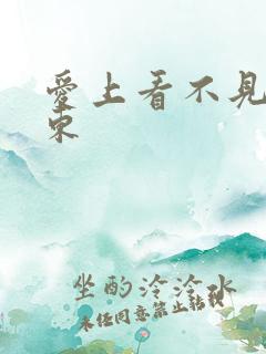 爱上看不见的房东