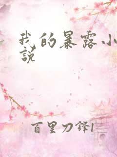 我的暴露小说小说