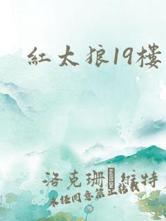 红太狼19楼