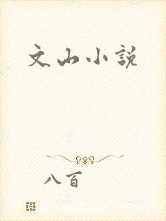 文山小说