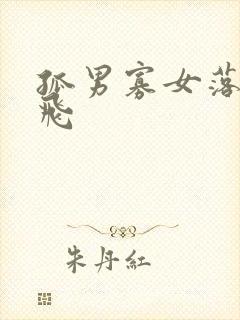 孤男寡女落瑛纷飞