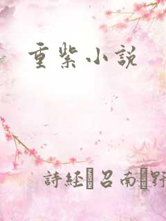 重紫小说